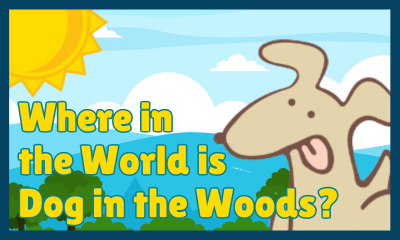 Where in the World is Dog in the Woods?